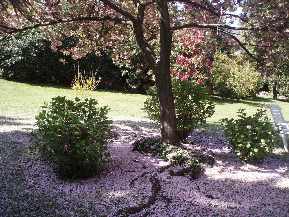 Du Parc Otel Lake Maggiore Dış mekan fotoğraf