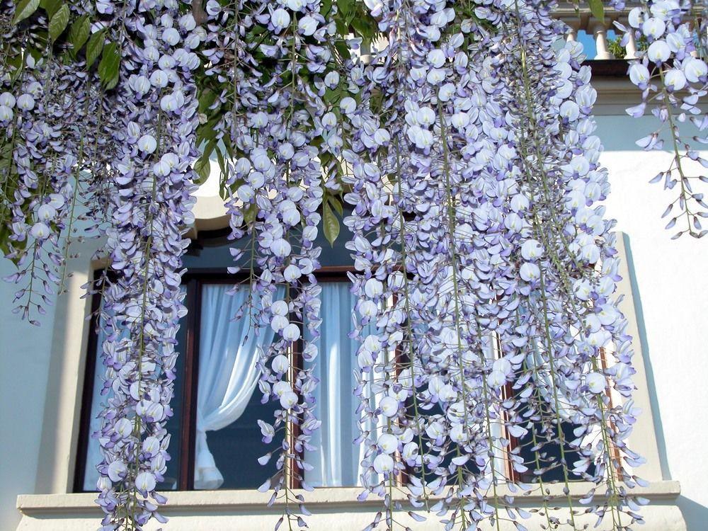 Du Parc Otel Lake Maggiore Dış mekan fotoğraf